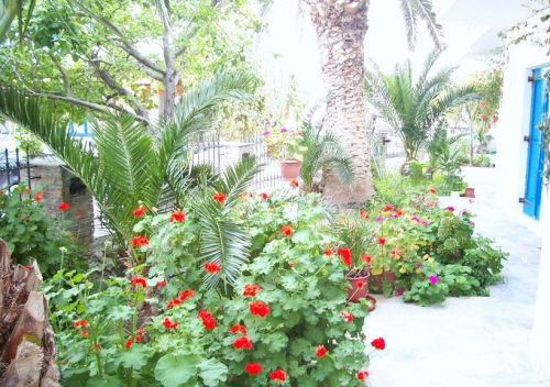 Foinikas Studios Mérichas المظهر الخارجي الصورة
